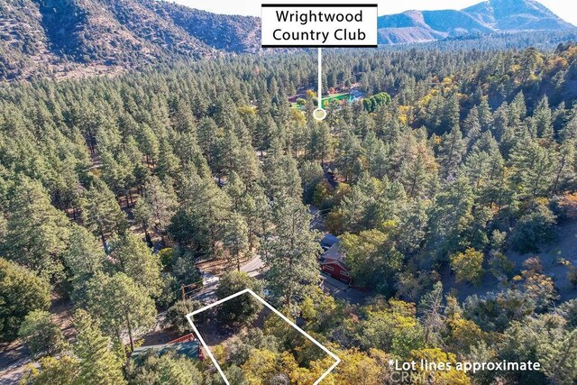 1127 Twin Lakes Dr, Wrightwood, CA 92397