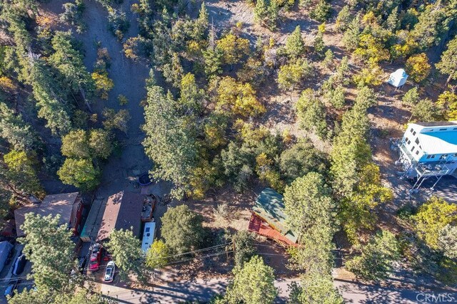 1127 Twin Lakes Dr, Wrightwood, CA 92397