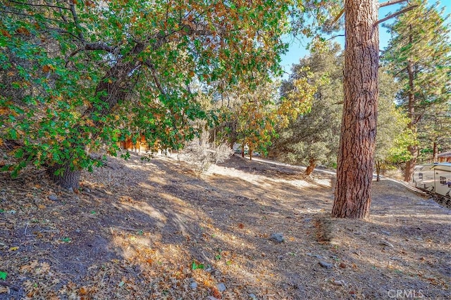 Listing photo 3 for 1127 Twin Lakes Dr, Wrightwood CA 92397