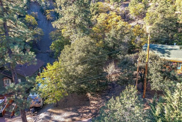 1127 Twin Lakes Dr, Wrightwood, CA 92397