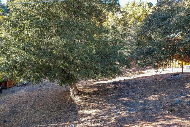 1127 Twin Lakes Dr, Wrightwood, CA 92397
