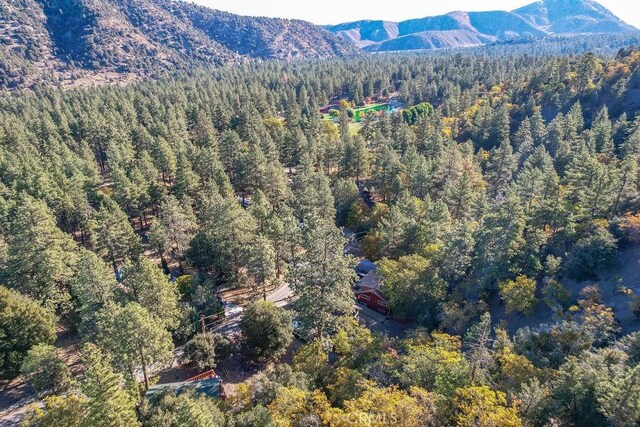 1127 Twin Lakes Dr, Wrightwood, CA 92397