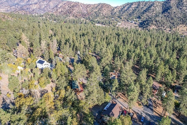 1127 Twin Lakes Dr, Wrightwood, CA 92397