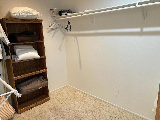 walk in closet featuring carpet