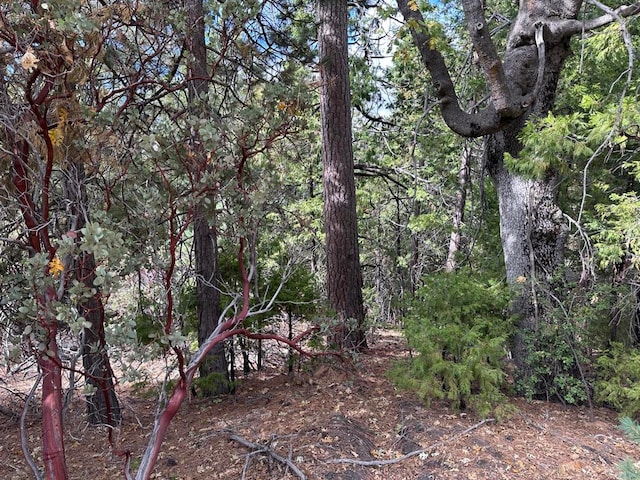 Listing photo 3 for 0 Round Robin, Idyllwild CA 92549