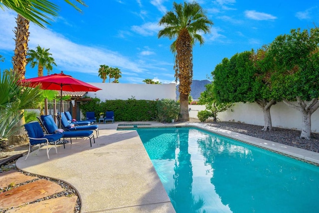 view of pool with a patio area and an in ground hot tub