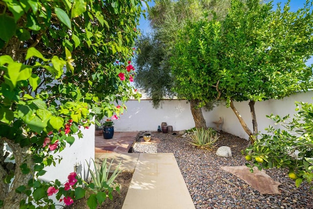 view of yard featuring a patio