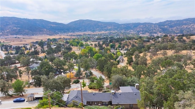 birds eye view of property featuring a mountain view