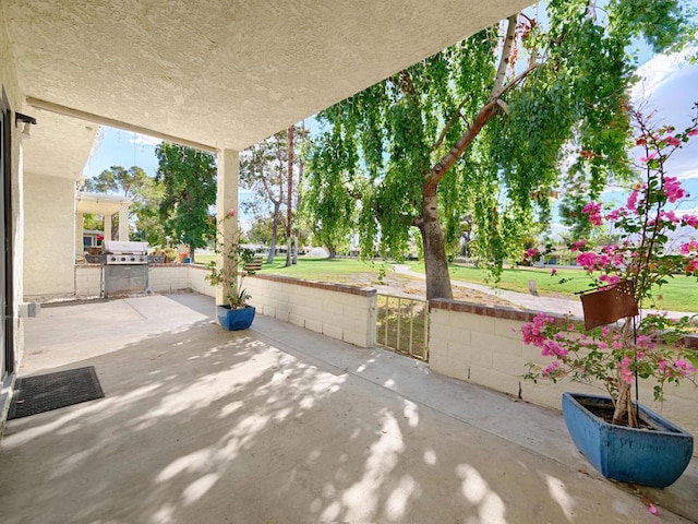 view of patio / terrace with area for grilling