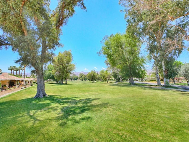 view of property's community featuring a lawn