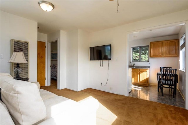 living room featuring carpet