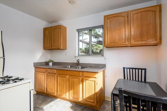 kitchen featuring sink and white range with gas cooktop