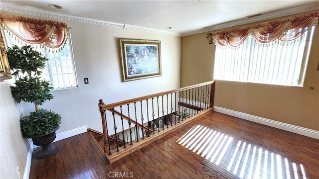 stairs featuring crown molding and hardwood / wood-style flooring