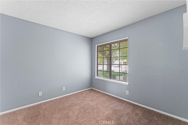 empty room featuring carpet and a textured ceiling