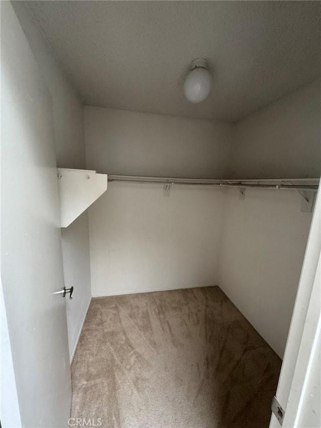 walk in closet featuring light carpet