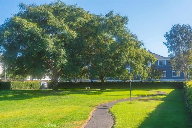 surrounding community featuring a yard