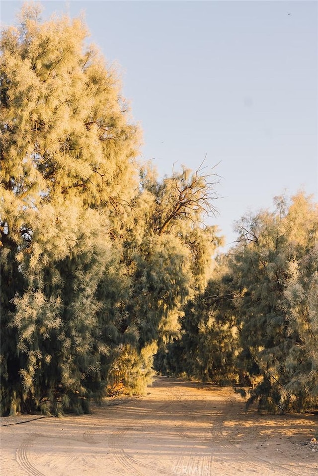 view of road