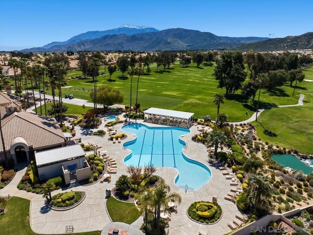 view of pool featuring a patio, a mountain view, and a lawn