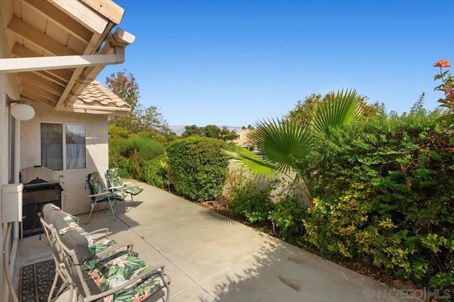 view of patio / terrace featuring a grill