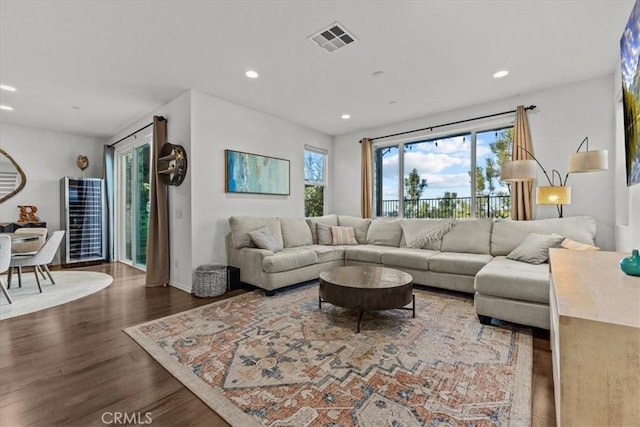 living room featuring wood-type flooring and a wealth of natural light