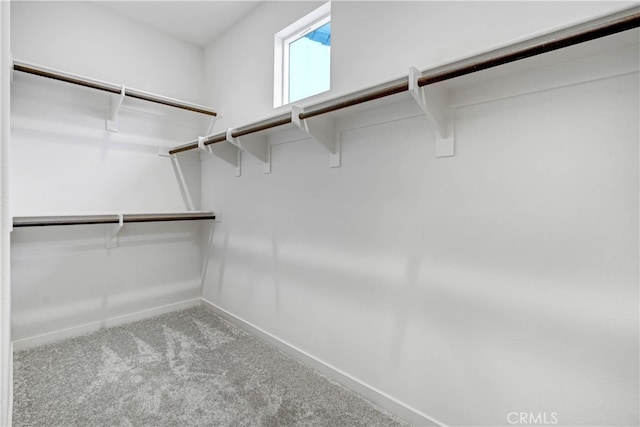 walk in closet featuring light carpet