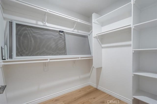 walk in closet with light hardwood / wood-style floors