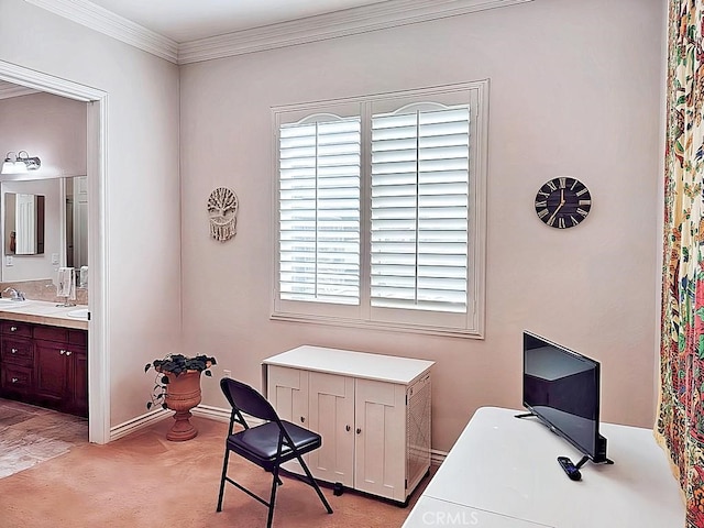 carpeted home office featuring sink and ornamental molding