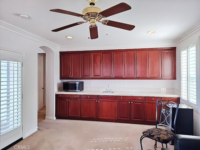 kitchen featuring light colored carpet, ceiling fan, crown molding, and sink