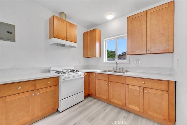 kitchen featuring white gas stove, light hardwood / wood-style floors, sink, and electric panel