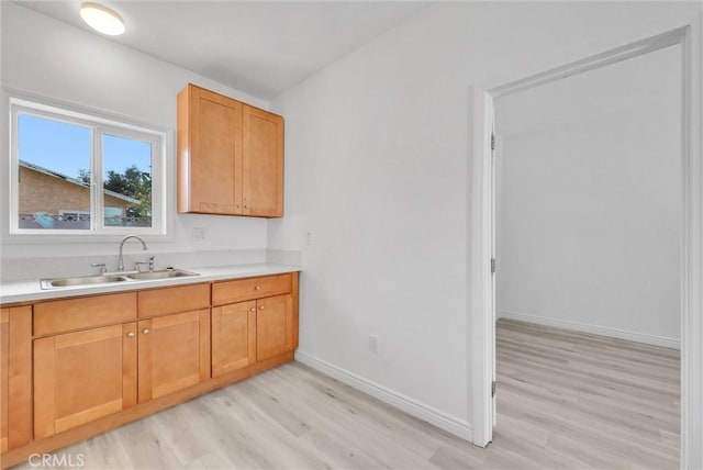 kitchen featuring light hardwood / wood-style floors and sink