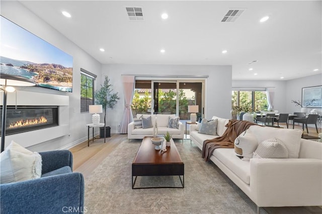 living room featuring light hardwood / wood-style floors