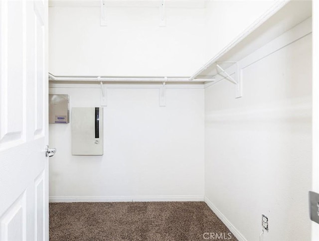 walk in closet featuring carpet floors