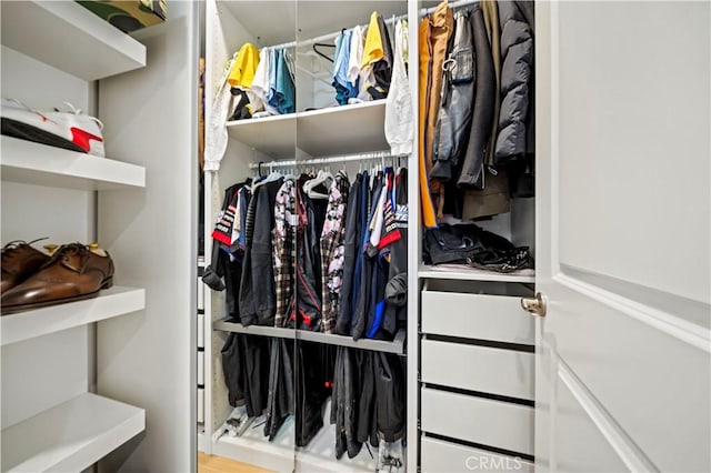 view of walk in closet