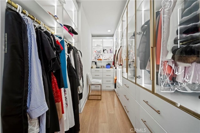 walk in closet featuring light hardwood / wood-style floors