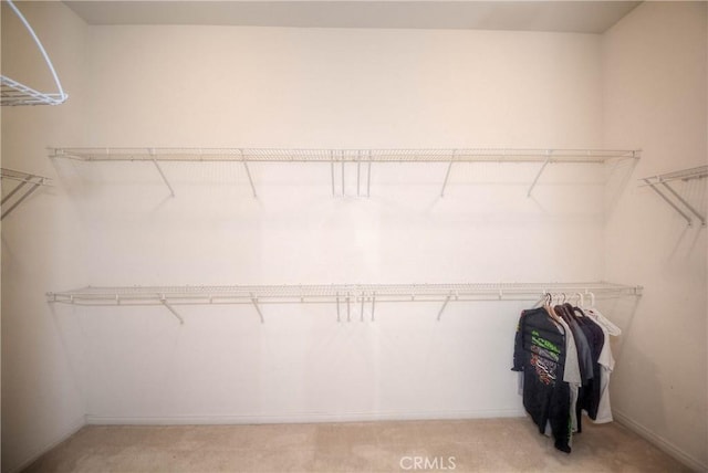 spacious closet featuring light carpet