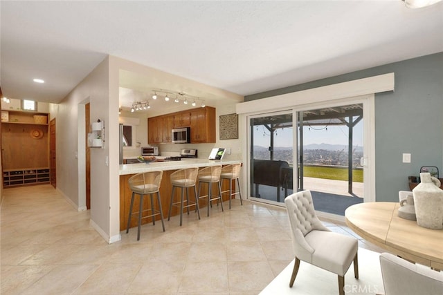 kitchen with a mountain view, a kitchen bar, kitchen peninsula, and appliances with stainless steel finishes