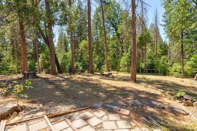 7167 Snyder Ridge Rd, Mariposa, CA 95338 - photo 39