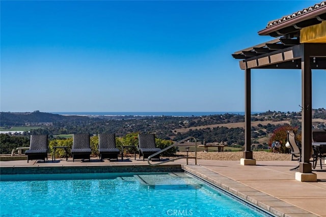 view of pool featuring a patio