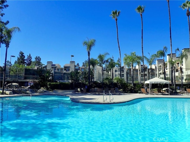 view of swimming pool featuring a patio