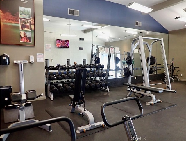 workout area featuring lofted ceiling