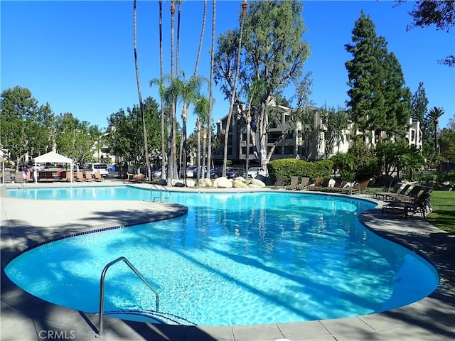 view of swimming pool featuring a patio