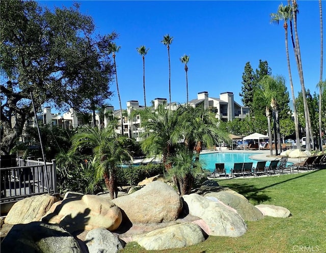 surrounding community featuring a lawn and a swimming pool