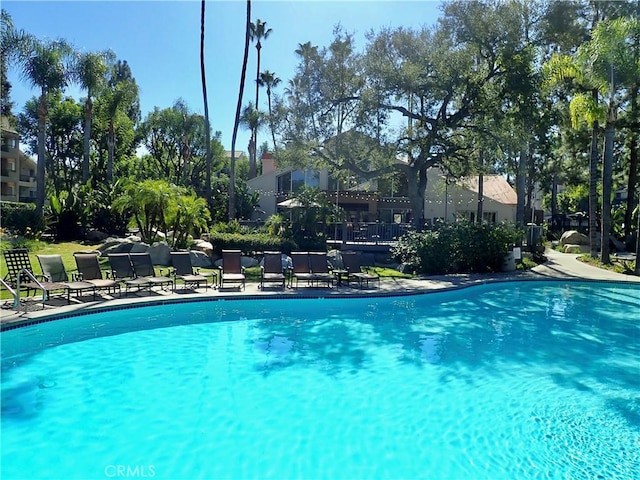 view of swimming pool