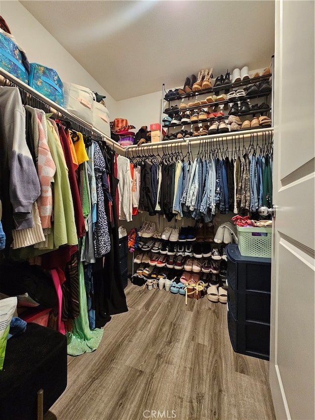 walk in closet featuring wood-type flooring