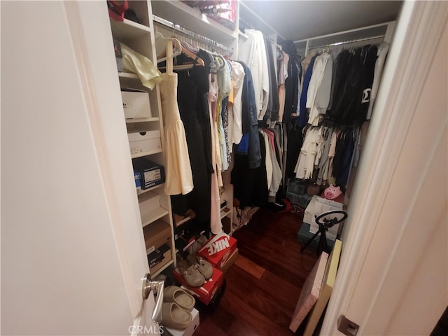 walk in closet featuring dark hardwood / wood-style floors