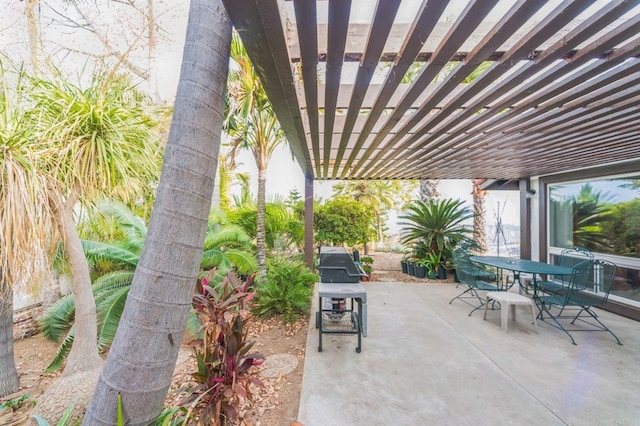 view of patio / terrace with grilling area