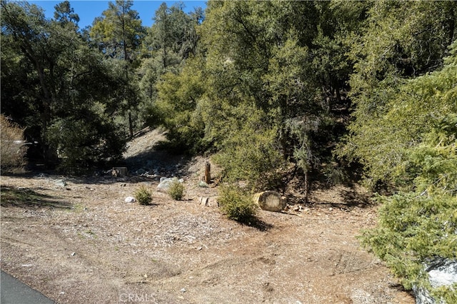 Listing photo 2 for 1301 Bernina Dr, Pine Mountain Club CA 93222