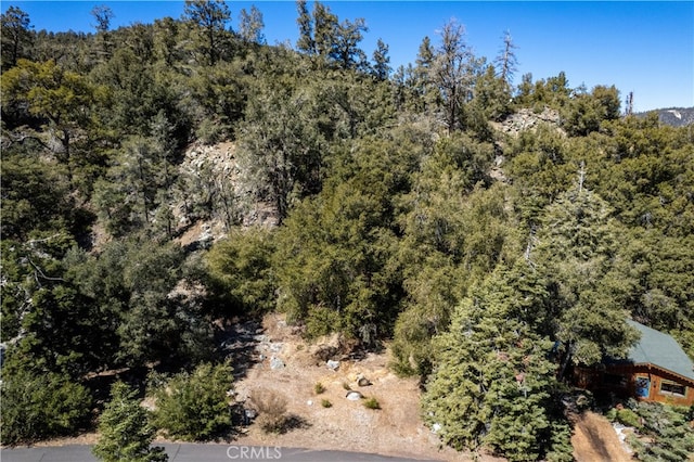 1301 Bernina Dr, Pine Mountain Club CA, 93222 land for sale