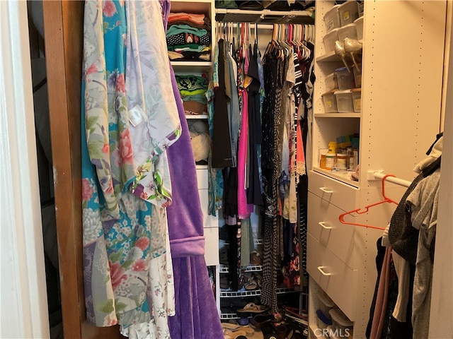 view of spacious closet