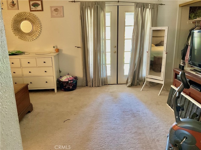 interior space with light colored carpet and a closet